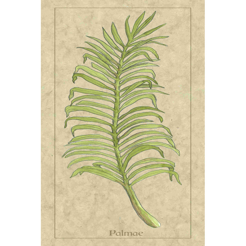 Feuille de palme, H 18 po x l 12 po x P 1,25 po