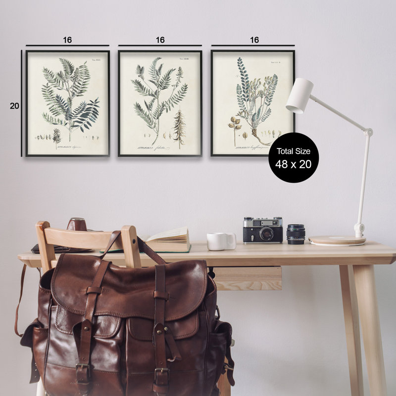 "Woodland Plantudes" par Martini 3 - Pièces sur, H 20 po x l 16 po, Giclée encadrée noir minuit