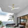 Gianick Ceiling Fan with LED Lights