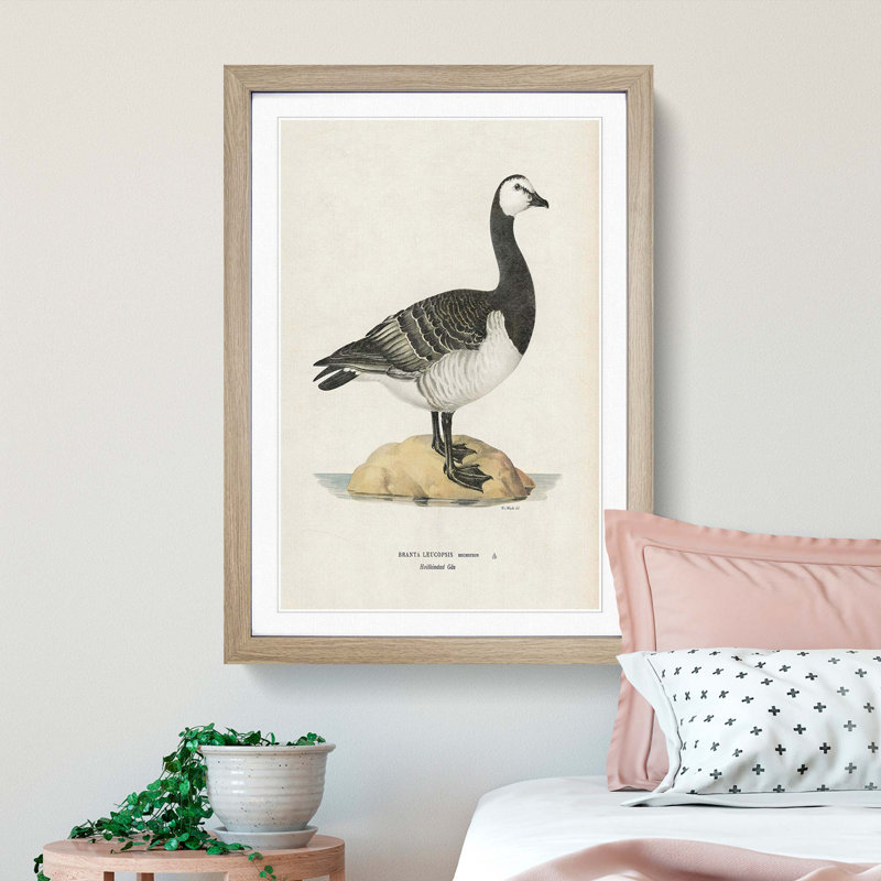 Barnacle Goose by Von Wright - Picture Frame Painting Print, Oak Framed, 36cm H x 27cm W x 2cm D