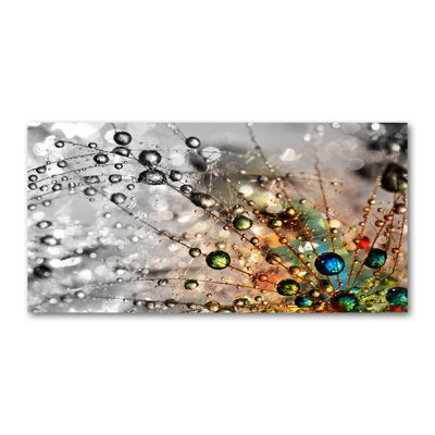 Dandelion Seeds - Wrapped Canvas Print