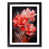 Black Framed selected