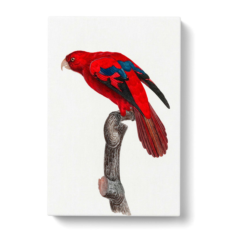 Lory by F. Levaillant - Wrapped Canvas Print, 76cm H x 50cm W x 3cm D