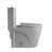 1.1/1.6 GPF Dual Flush One-Piece Toilet-111875219
