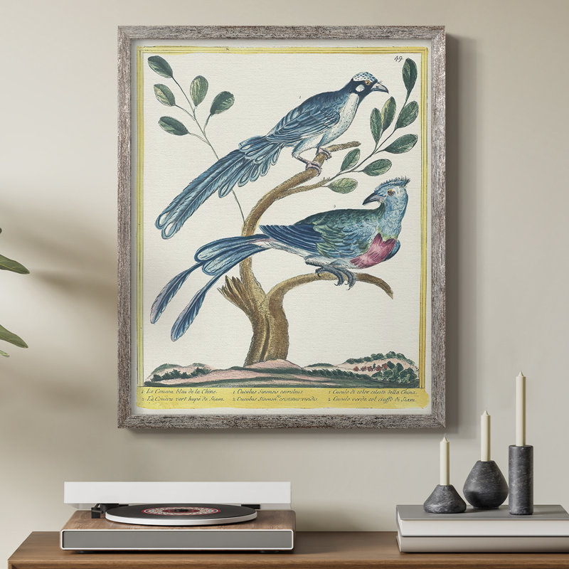 «Pastel Birds VI», reproduction encadrée - bois massif