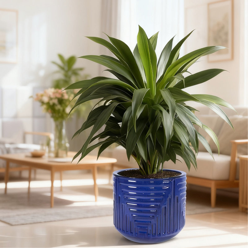 Jardinières rondes bleu foncé faites à la main de 16 pouces avec trous de drainage pour l'intérieur et l'extérieur