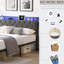 Lit plateforme tapissier gris foncé avec lumières à DEL et rangement - Lattes lourdes de tête de lit double en métal, couleur, sans sommier tapissier, bruit, facile à installer