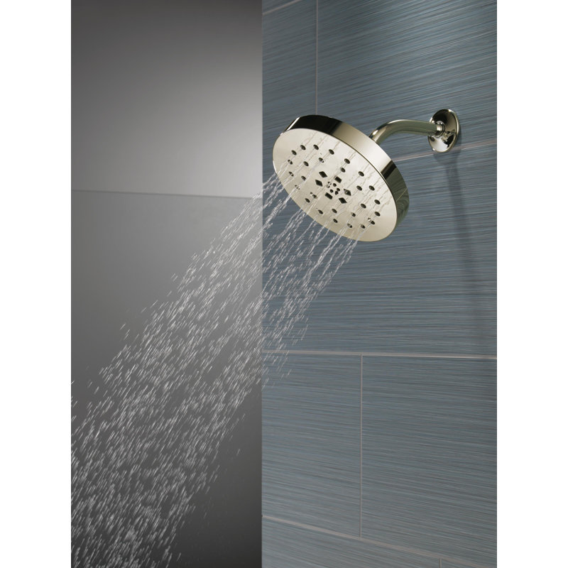 Multi Function Adjustable Shower Head, Polished Nickel