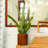 7.8 In. Dark Wood Plastic Self-Watering Planter Pot