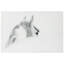 Sans cadre, impression sur verre
