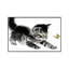 Winged Friend by Soo Beng Lim - Floater Frame Gallery-Wrapped Canvas Giclée on Canvas