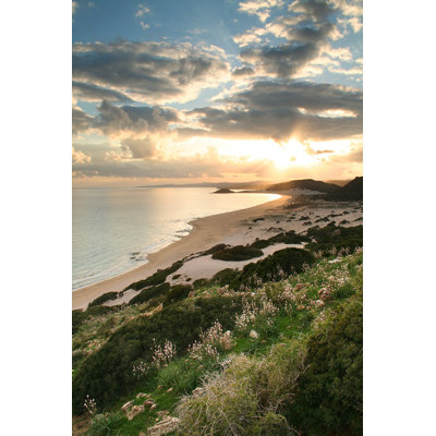 Golden Beach - Wrapped Canvas Print