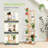 Arvile Plant Stand