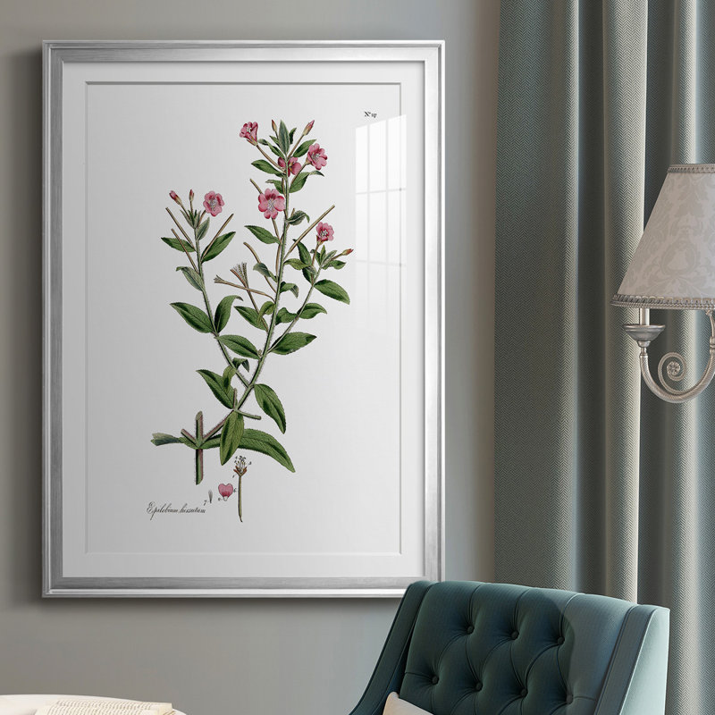 «Rose Botanical III», reproduction encadrée de qualité supérieure - prête à être accrochée, H 36,5 po x l 26,5 po x P 1 po