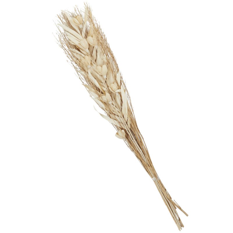 Peotone Landscape & Nature Vase Filler, Cream, 39" H x 7.5" W x 3.5" D