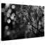 Parvez Taj - Wrapped Canvas Print-16672204