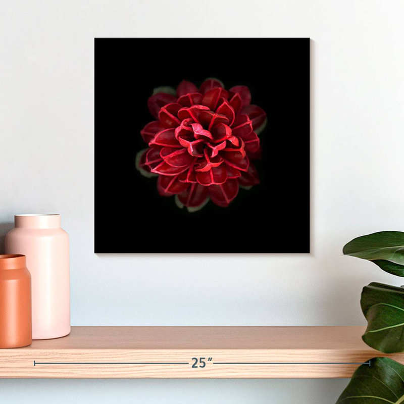 Harnek In Red, 16" H x 16" W