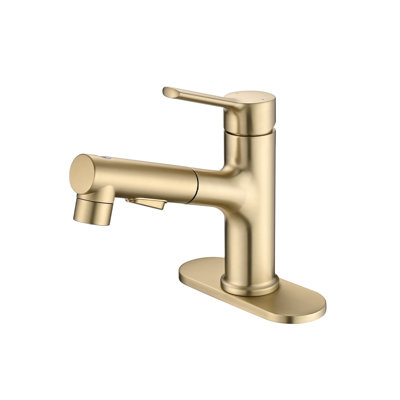 Single-hole Single-handle Bathroom Faucet With Pull Out Sprayer
