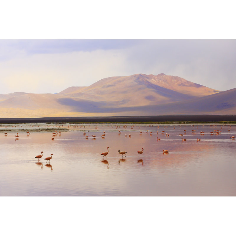 Impressive Laguna Colorada by Agustavop - Wrapped Canvas Print, 61cm H x 91cm W