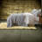 Rustic Charm Bedding Sets, Polyester Grey, Cozy Cabin Retreat