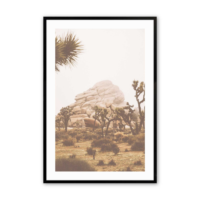Joshua Tree Vista Print, dans un cadre,, Cadre noir satiné, H 21 po x l 17 po x P 1,25 po