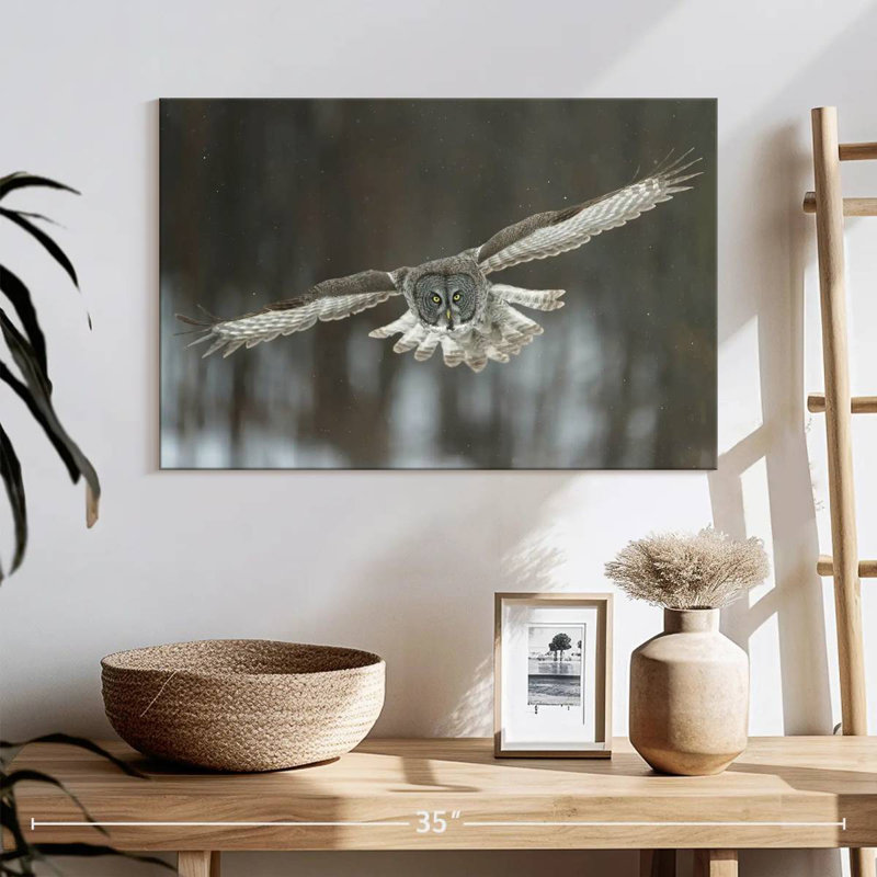 Brampt Flying Great Gray Owl, 16" H x 24" W
