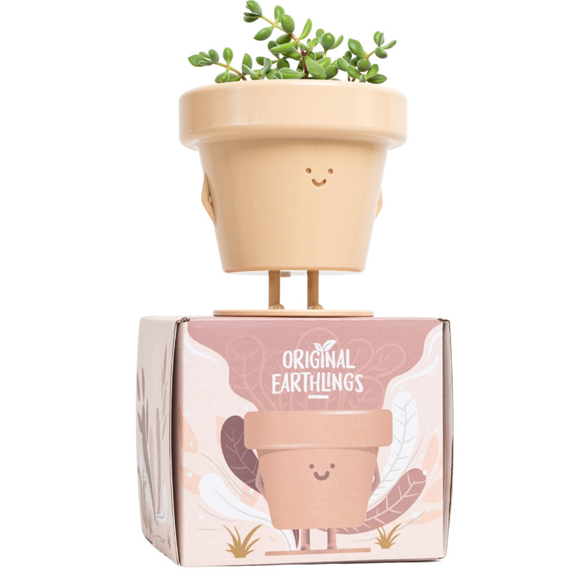 Cute Pots Pot Planter