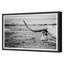 The Horn Framed Photographic Print-1077278279-1077278280