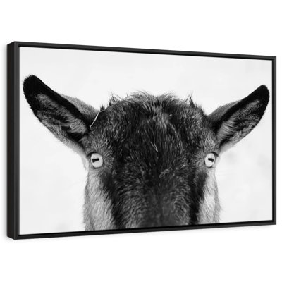 «Peeking Black Goat», art mural