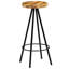 Vasser Counter Stool with Metal Frame