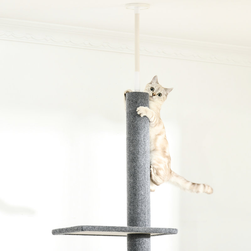 Grimpeur de plancher-plafond pour chat, tour grise réglable de 8,5 pi de hauteur avec des plateformes de grattage et confortables pour l'exercice de chaton, tour d'escalade sombre, divertissement en toute sécurité
