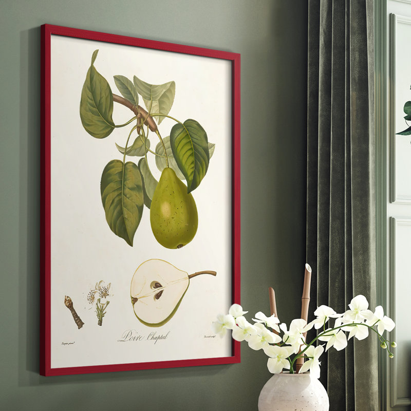 Vintage Pears VI, reproduction encadrée - bois massif, Rouge, H 10 po x l 8 po