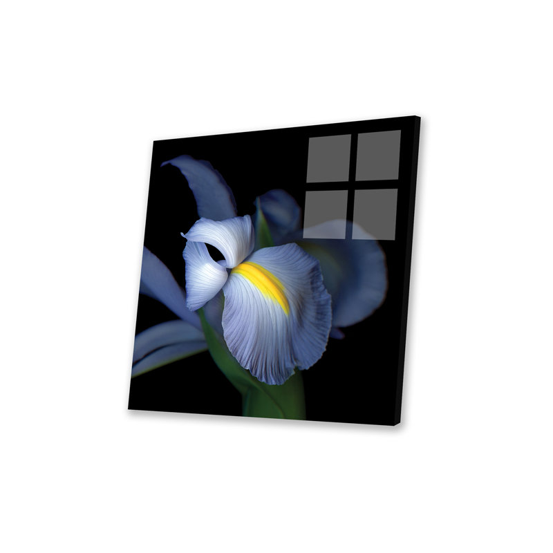 «Iris Pale IV» par Magda Indigo - impression sans cadre