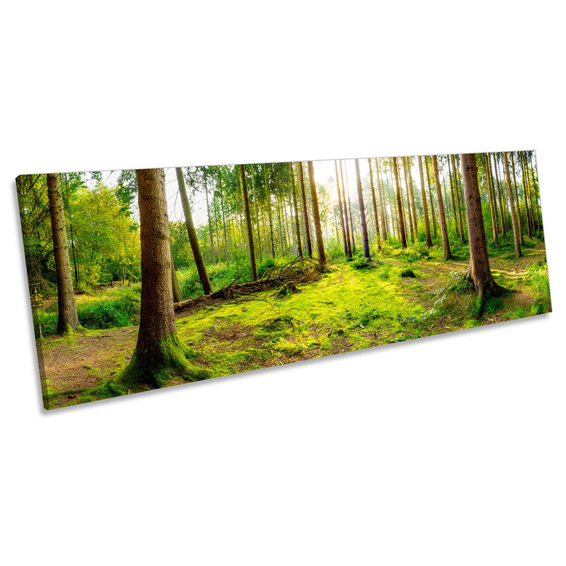 Forest Green Sunset Trees - Wrapped Canvas Panoramic Print, 40.64cm H x 121.92cm W