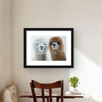 Deux lamas - Reproduction de passe-partout pour animaux Hygge