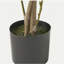 ARBRE DE LAURIER ARTIFIQUE 150CM 150CM-1563496705