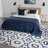 Cari Area Rug-684871464
