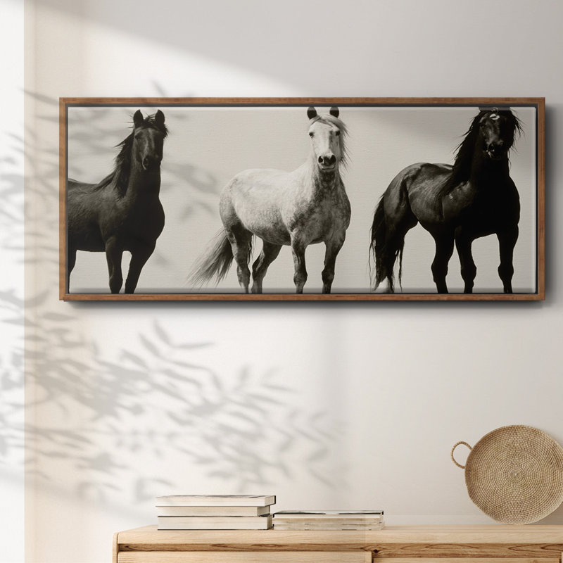 Wild Stallions- Framed Canvas