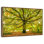 London Oak Tree