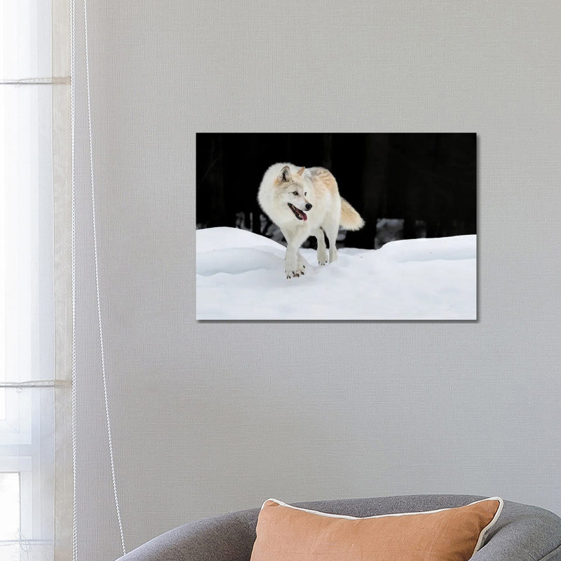 Out Of The Dark by Jun Zuo - Wrapped Canvas Print, 66.04 cm H x 45.72 cm W x 3.175 cm D