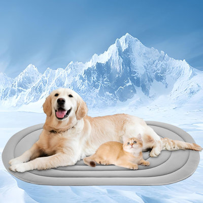 Pet Bed