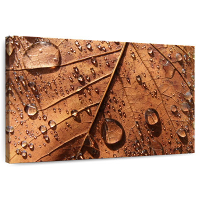 Harnek Autumn Leaf Raindrops