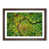 Walnut Framed
