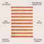 Hedva Two-Tone Wide Stripe Orange/Beige Indoor/Outdoor Rug-1348410506