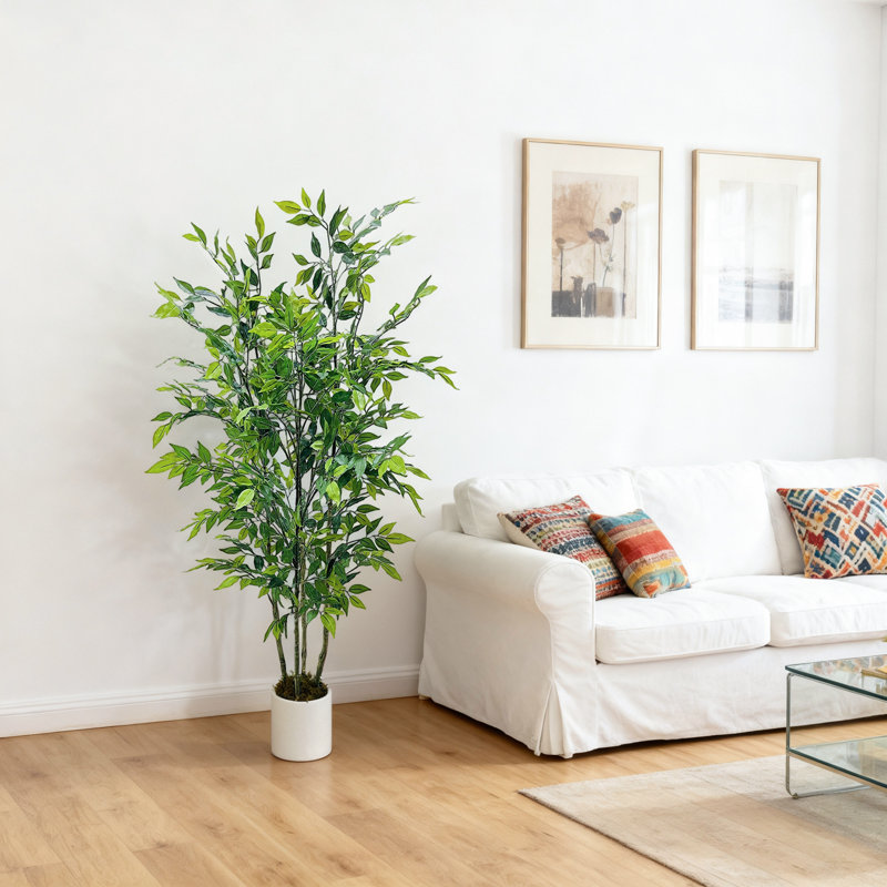 Plant, 150cm x 17.78cm