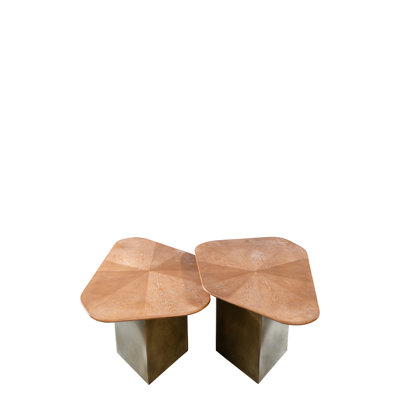 Mauricio 2-Piece Nesting Coffee Table Set with Brass Base and Wood Tops – Modern Brown Living Room Tables