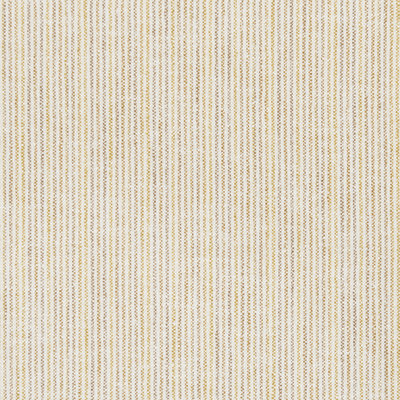 Kravet Basics  37263416