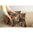 Fabric Reversible Throw Pillow-99020853-99020854