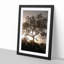 Leopard Siesta - Picture Frame Painting Print-55582646-55582643