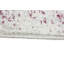 Alachua Floral Area Rug-1577473197
